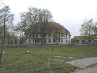 Kornik1