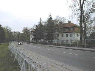 Kornik3