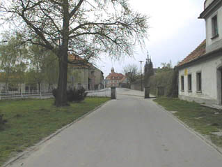 Kornik7